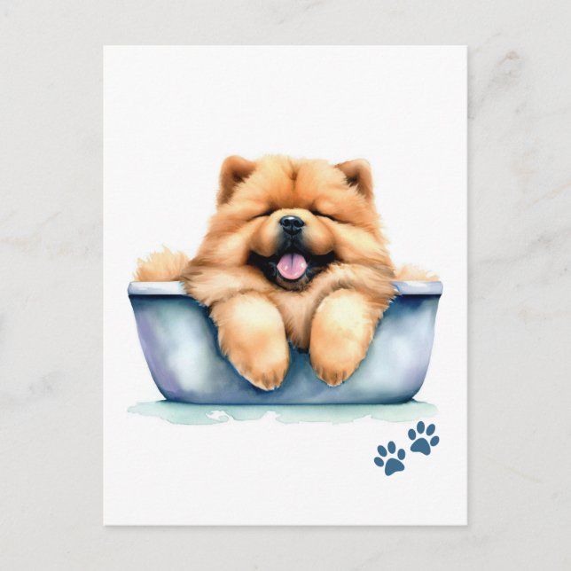 Carte Postale Chow Chow Chien (Devant)