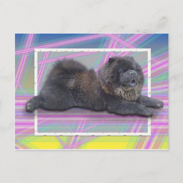 Carte Postale Chow-Chow Wang (Devant)