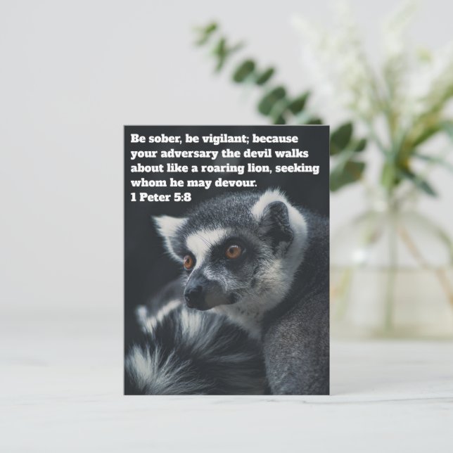 Carte postale Christian Meerkat (Debout devant)