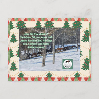 Carte Postale Christmas Cards