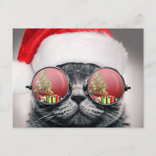 Carte Postale Christmas Cat With Sung