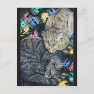 Carte postale Christmas Kitties