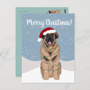 Carte Postale Christmas Leonberger