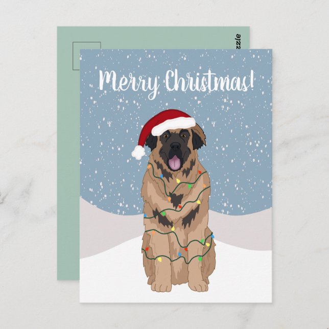 Carte Postale Christmas Leonberger (Devant / Derrière)