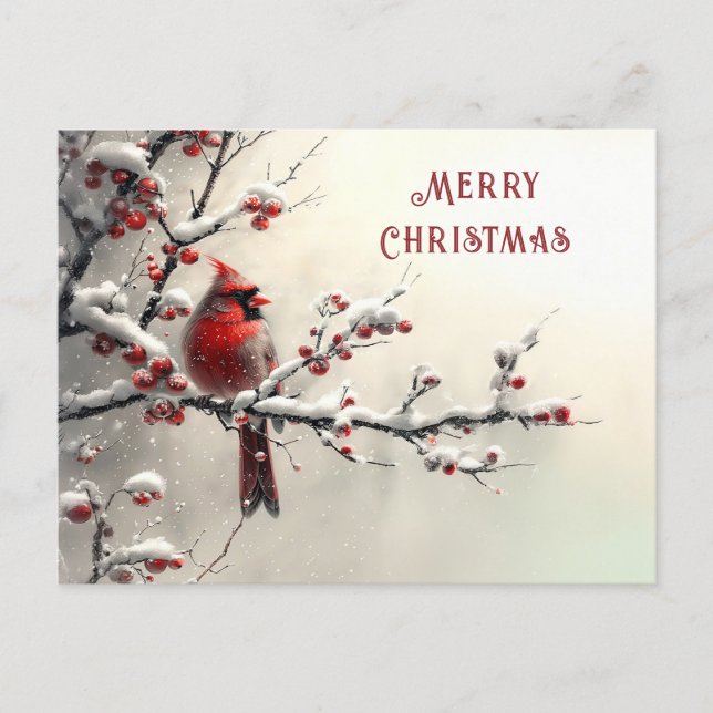 Carte Postale Christmas Red Cardinal Holiday (Devant)