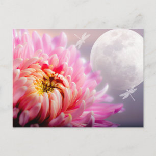 Carte Postale Chrysanthème et Lune