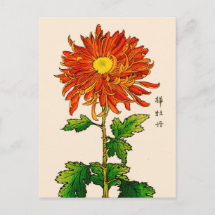 Carte Postale Chrysanthème japonais vintage. Orange et or