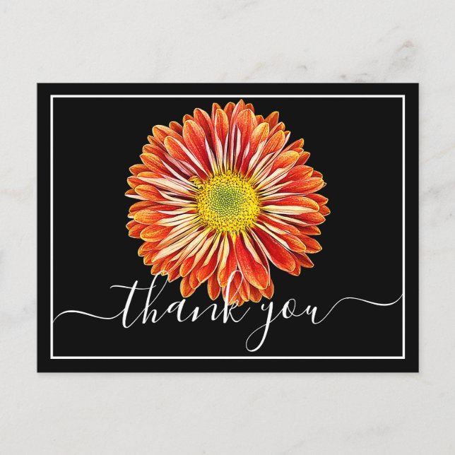Carte Postale Chrysanthème orange Fond noir Merci (Devant)
