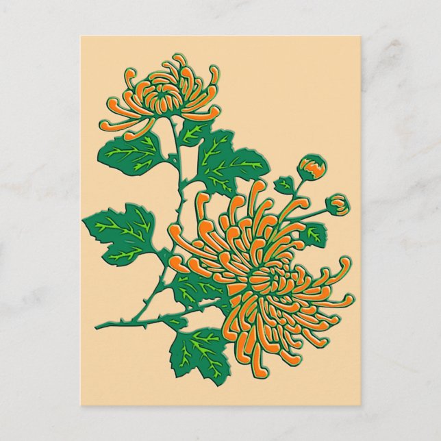 Carte Postale Chrysanthèmes d'araignée chinois - orange clair (Devant)
