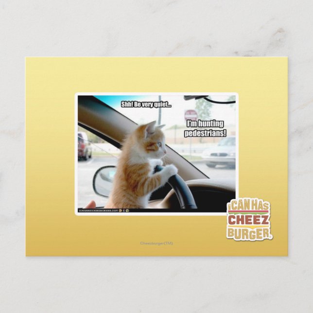 Carte Postale Chut ! Soyez calme (Devant)