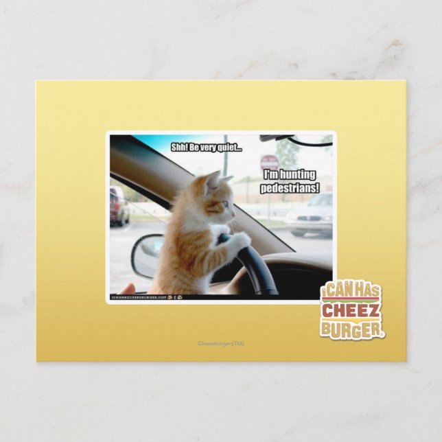 Carte Postale Chut ! Soyez calme (Devant)