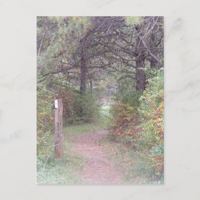 Carte Postale chute appalachienne Pennsylvanie de traînée (Devant)