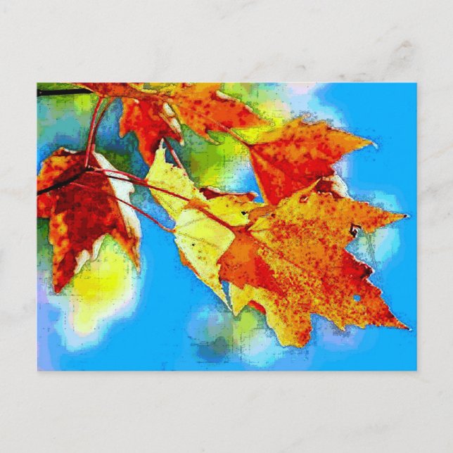 Carte Postale Chute des Feuilles (Devant)