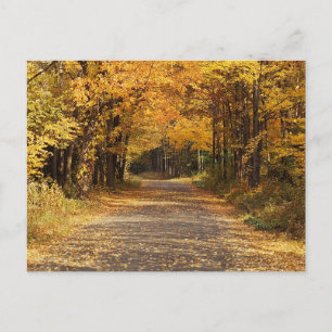 Carte Postale Chute des Feuilles   Automne Accueil Cadeaux