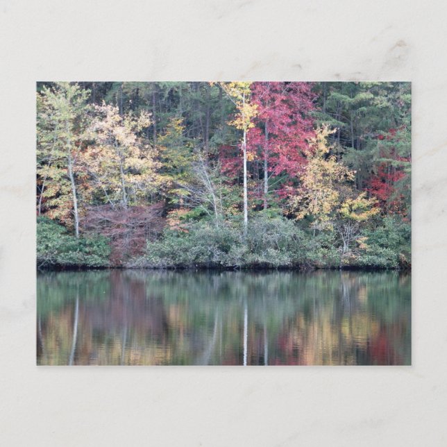 Carte Postale Chute en Oneida, TN (Devant)