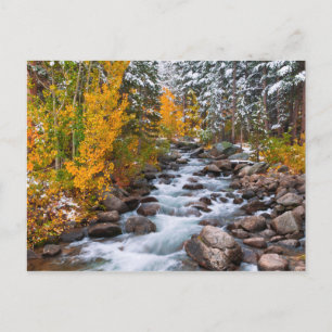 Carte Postale Chute le long du ruisseau Bishop, Californie