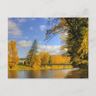 Carte Postale Chute sur la bouilloire