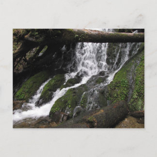 Carte Postale Chutes à Redwood State Park