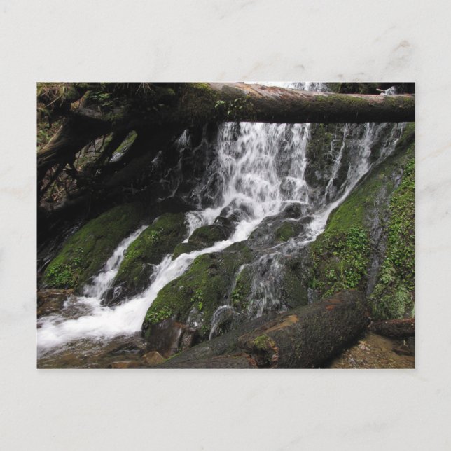 Carte Postale Chutes à Redwood State Park (Devant)