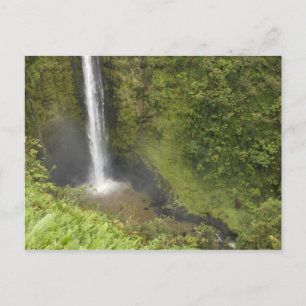 Carte Postale Chutes Akaka, côte Hamakua, île d'Hawaï,