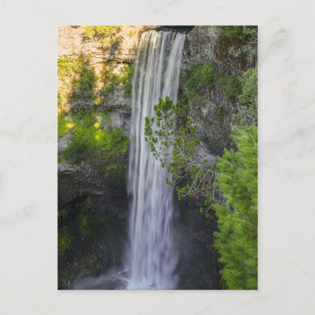 Carte Postale Chutes Brandywine (Devant)