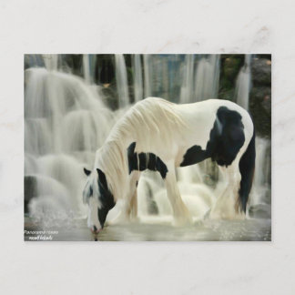 Carte Postale chutes, cheval, rivière, belle vue