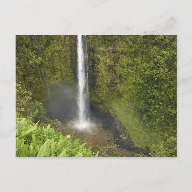 Carte Postale Chutes d'Akaka, côte d'Hamakua, île d'Hawaii, (Devant)
