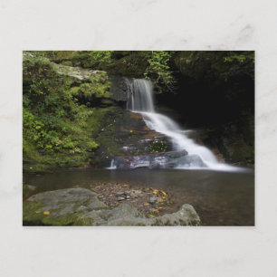 Carte Postale Chutes de Catawba
