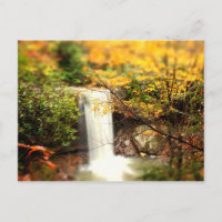 Chutes de concombre Couleurs d'automne