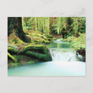 Carte Postale Chutes de la rivière Green