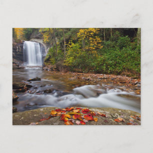 Carte Postale Chutes de Looking Glass Forêt nationale de Pisgah