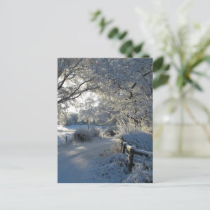 Carte Postale Chutes de neige hivernales