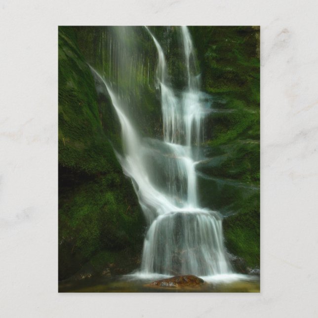 Carte Postale Chutes de Tulip Creek, Castlegar C.-B. (Devant)