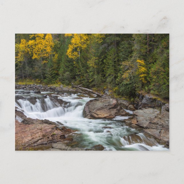 Carte Postale Chutes De Yaak À L'Automne Dans Le Kootenai Nation (Devant)