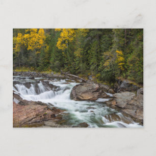 Carte Postale Chutes De Yaak À L'Automne Dans Le Kootenai Nation