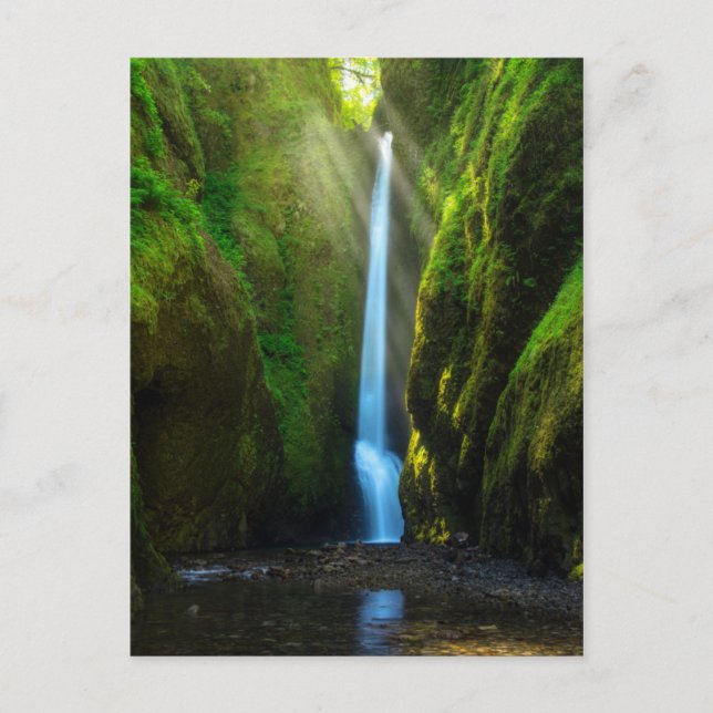 Carte Postale Chutes d'Oneonta (Devant)