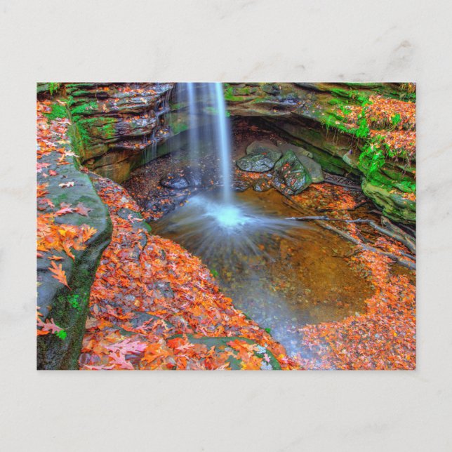 Carte Postale Chutes Dundee en automne, Ohio (Devant)