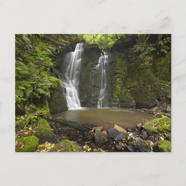 Carte Postale Chutes Horseshoe, chutes Matai (Devant)