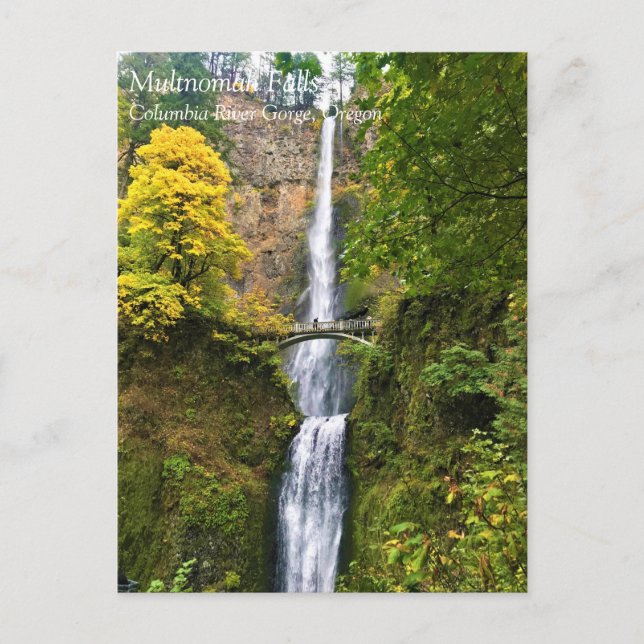 Carte Postale Chutes Multnomah, Columbia River Gorge, Oregon Pos (Devant)