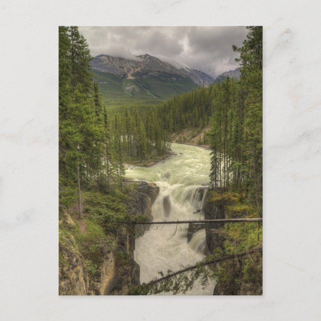 Carte Postale Chutes Sunwapta (Devant)