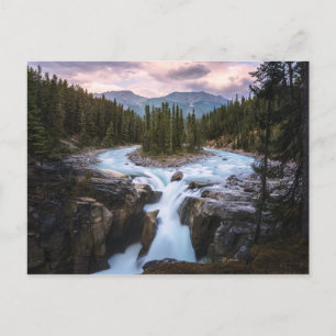 Carte Postale Chutes Sunwapta   Parc national Jasper
