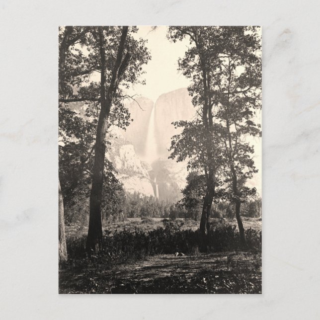 Carte Postale Chutes vintages de Yosemite (Devant)