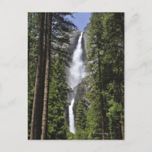 Carte Postale Chutes Yosemite, Parc national Yosemite