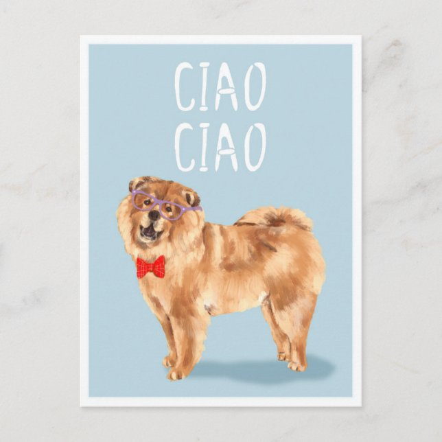 Carte Postale Ciao Ciao dit le chien Chow Chow Drôle de jeu de m (Devant)