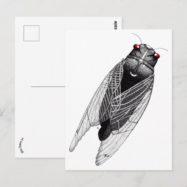 Carte Postale Cicada (Devant / Derrière)