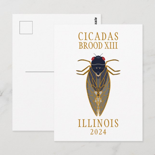 Carte Postale Cicada Brood XIII ILLINOIS 2024 Texte personnalisé (Devant / Derrière)