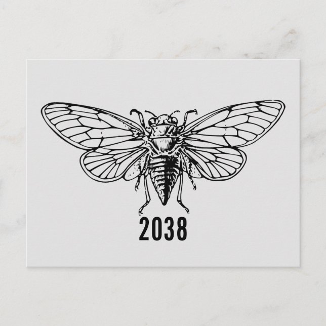 Carte Postale Cicadas 2038 (Devant)