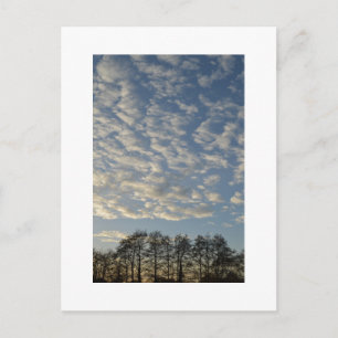 Carte Postale Ciel d'hiver