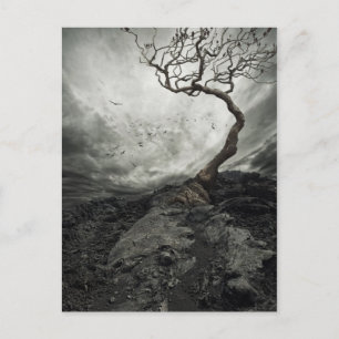 Carte Postale Ciel dramatique sur un vieux arbre solitaire