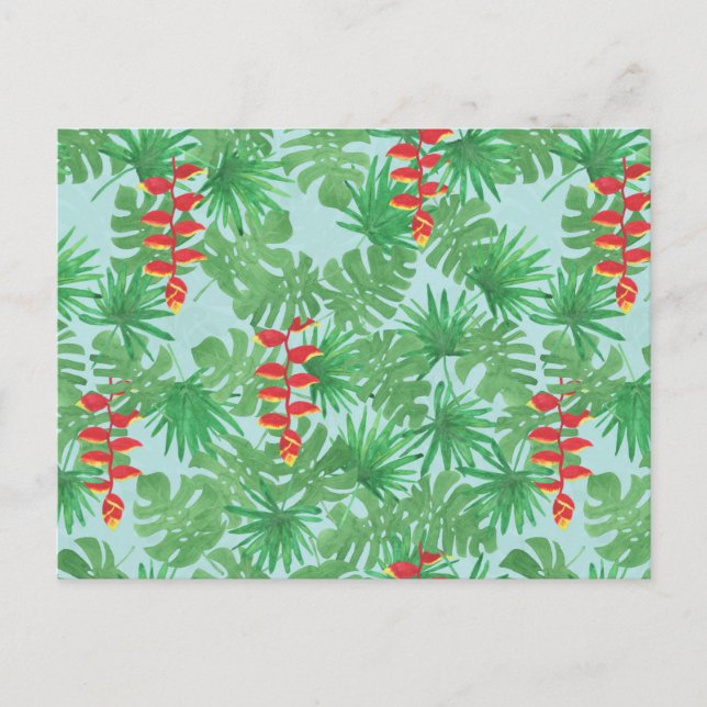 Carte Postale Ciel Jungle (Devant)